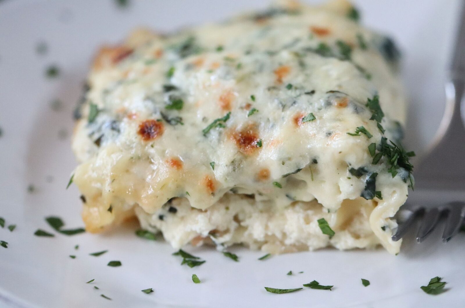 Chicken Lasagna Rolls